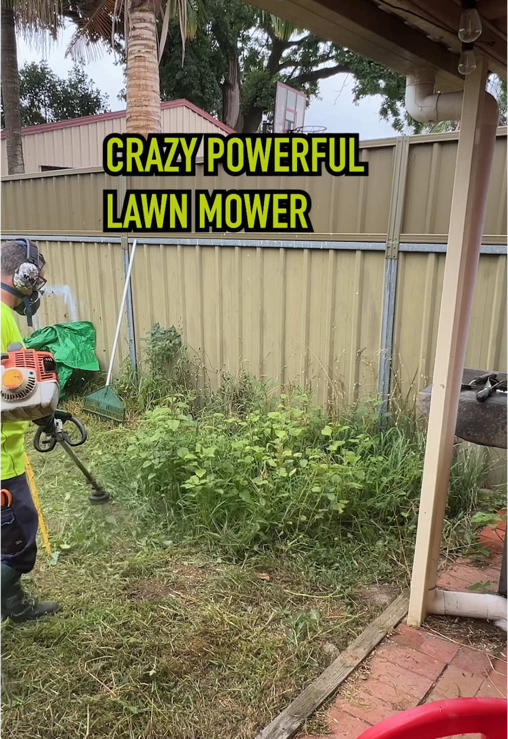 Best Mower Ever? You tell me? #satisfying #cleanup #freemowfridays #timthelawnmowerman 