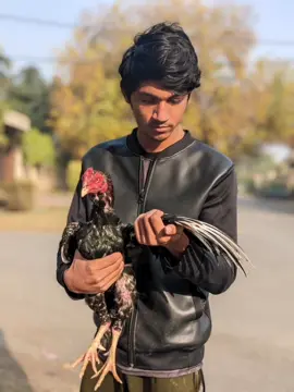 Ya Ali #foryoupage #foryoupage #foryoupage#foryoupage #foryoupage#foryoupage#10000kI#foryoupage#10000k @نکا ملک ❤ @Abdullah.001 @👑𝙉𝙤𝙢𝙖𝙣 𝙆𝙞𝙣𝙂👑 @Daud ul hassan ❤️ @Umar Awan @Adilshazad @alikohli07 #foryoupage #foryoupage 🤲😘❤️#foryoupage #10000kview #foryoupage #10000k# #10000kview # 