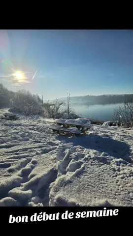 bon lundi 🥰 #bonlunditoutlemonde #forets #arbres #neige #foryoupage❤️❤️ #jura 