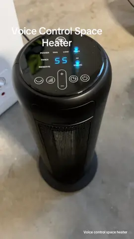 Voice Control Space Heater#spaceheater #heater #cold #coldweather #holidayhaul #sale #giftideas #2025