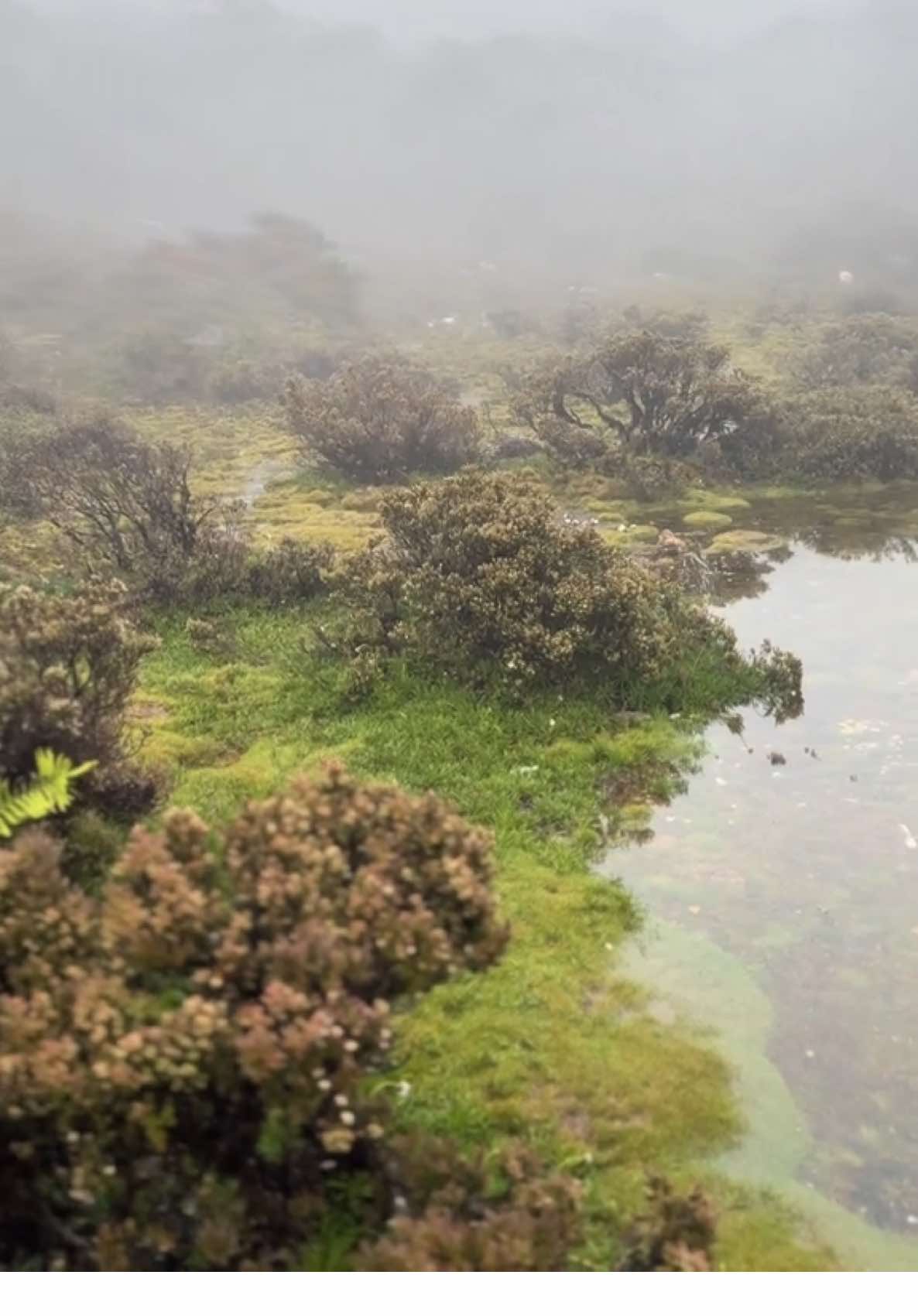 Telaga Latimojong #CapCut #pendakiindonesia #torajasulawesiselatan #pendakisulawesi #latimojong #forest #torajanese #torajamaelo #toraja #indonesia🇮🇩 #fyp 