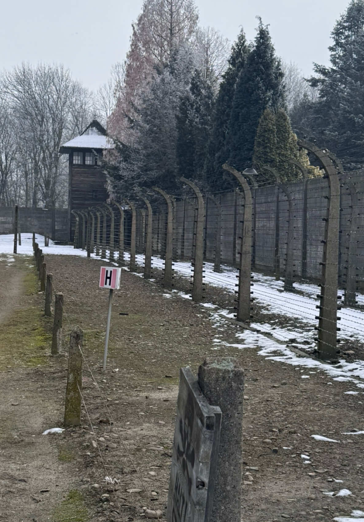 Today hits abit different.  80 years ago today, Auschwitz-Birkenau was liberated, a place that represents unimaginable pain and loss. Visiting this site was one of the most harrowing experiences of my life. Walking through the remains of this tragedy, it was impossible not to feel the weight of history and the suffering endured by so many. This visit reminded me of the importance of remembering, honoring the victims, and committing to a future free from hate and prejudice. We must never forget. #Auschwitz #NeverAgain #weremember 