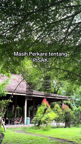 Ye doang aran PISAK siakk #sasak #sasaklombok 