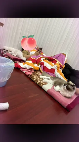 左右護法🤣🤣🤣🤣