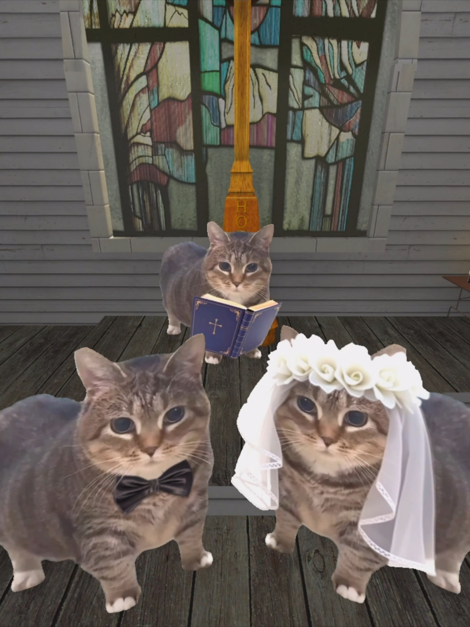 OIIA CAT Wedding 💍🐈️ @queenfatethel #ethel  @tori.segura #maroon5 #sugar  #gmod #gameplay #fyp #catmeme #nextbot #catsoftiktok #猫ミーム #garrysmod #kucing #akmal #spinningcat #uiiaiouuiiaio #oiiaiiooiiai #oia