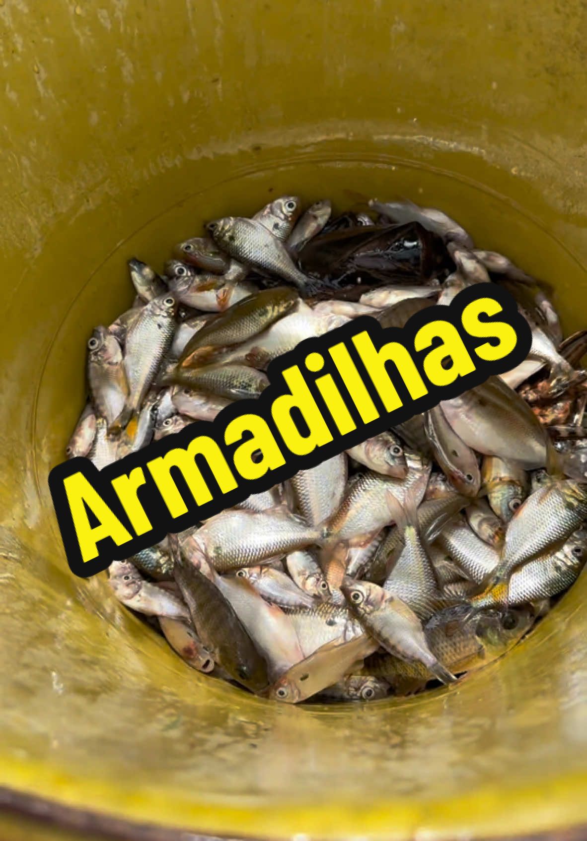 Armadilhas para peixes !!! #fyp #fory #pesca 