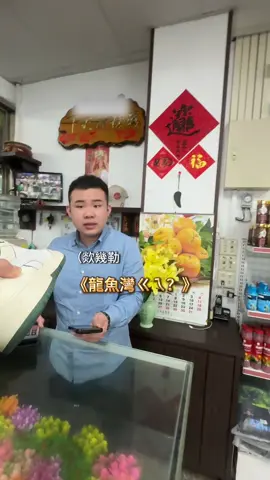 為何龍魚總是被小魚啃食#哇喜文成 #精品 #龍魚 #招財 #紅龍 #水族 #寵物 #魚 #茶 