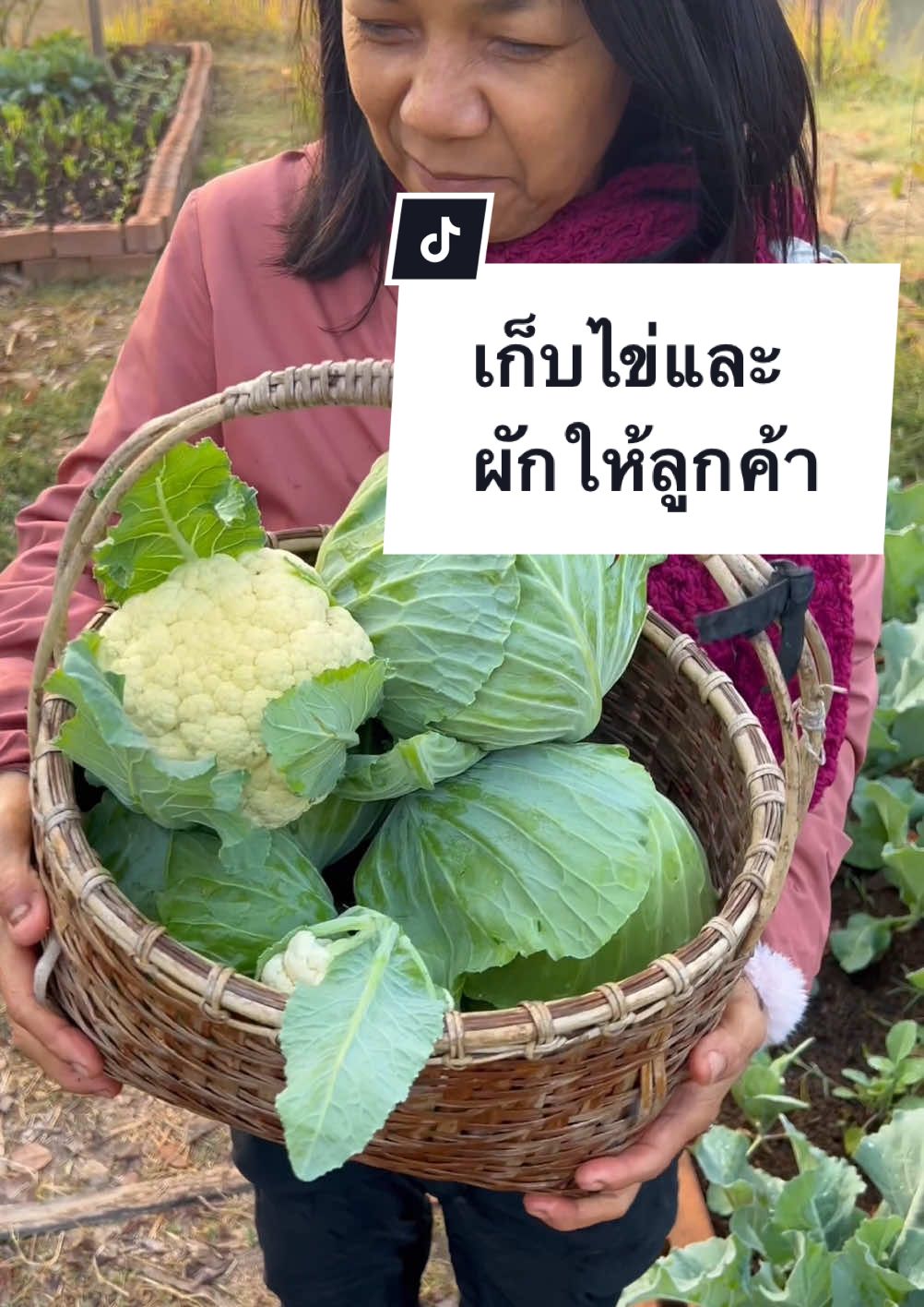 เก็บไข่และผักให้ลูกค้าตั้งแต่6โมง ☀️🌿🥬 #ชีวิตในฟาร์ม #เกษตรอินทรีย์ #เกษตรฟื้นฟู
