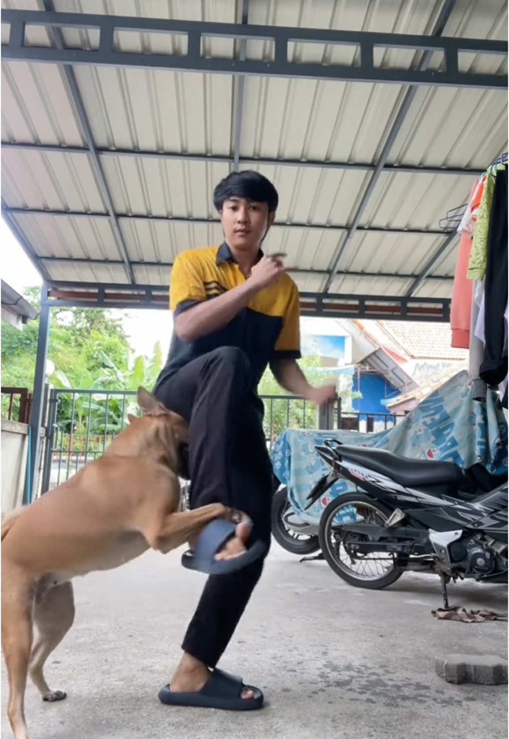 หยุดดินุด #fypシ゚ #fypシ゚viral #ขึ้นฟีดเถอะ 