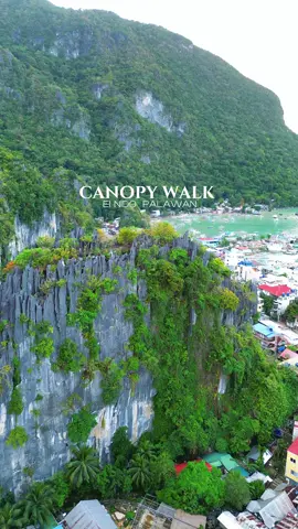 El Nido Via Ferrata Canopy Walk 📸🇵🇭 The giant limestone cliff is a famous attraction on the island. It offers a smooth rock climbing experience and jaw-dropping views of the Bacuit Bay. #canopywalkelnido #canopywalk #elnido #palawan #philippines #priyasadw #itsmorefuninthephilippines #philippinestravel #travelph #philippines #gumala #gophilippines #trending #trendingvideo #trend #viral  #viralvideo  #viraltiktok #fyp #fyppoppppppppppppppppppppppp 