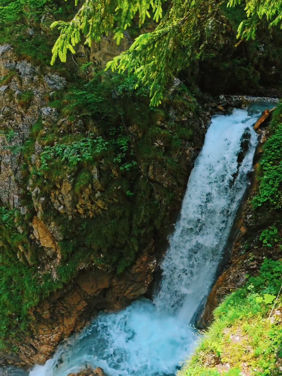 #waterfall #austria #wolfsklamm #Nature #travel #relaxing #Outdoors #naturlover 