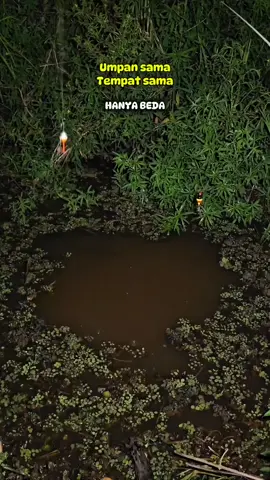 #fyppppppppppppppppppppppp #anglerindonesia #mancingliar #mancing rawa rawa kecil 