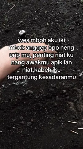 #CapCut 