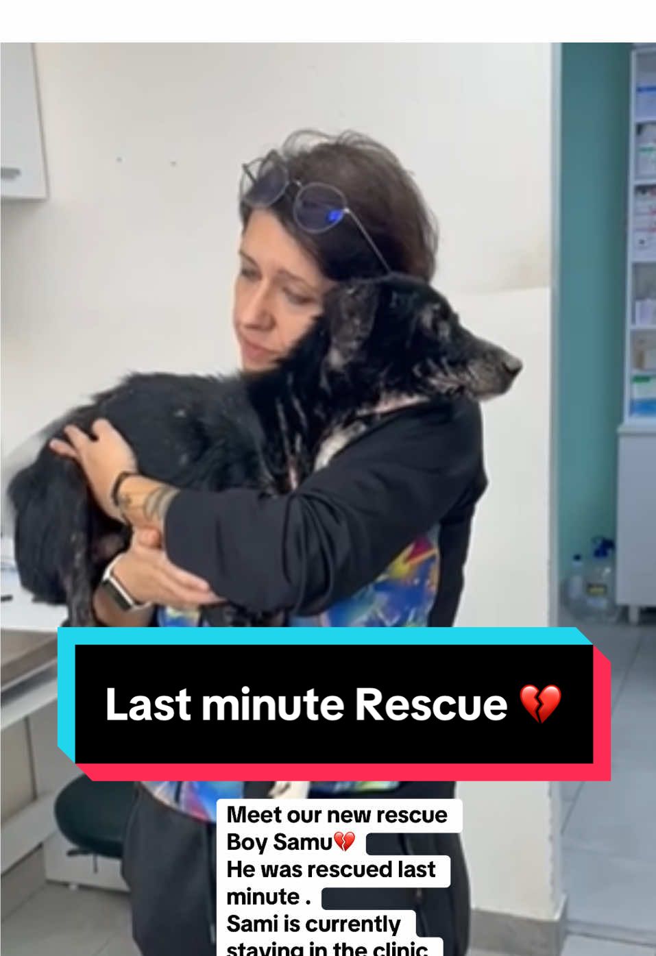 💔Samu came alone looking for help , in the yard of the person who called us . Our volunteers were not ready for what they were about to find there. 😭 Samu was covered in wounds , serious infection and his bones sticking out. The first test have shown that his positive on Leishmania. And he will need a very expensive medication called Milteforan. 😓 We can’t afford his stay in the clinic and the treatment he needs. His life literally depends of the support we can get to keep him in the clinic and provide him the medical care he needs. Please let’s unite and help this precious boy learn how it feels to be loved and cared for. 🚨paypal : info@smsrescue.org.uk.  Other ways to support us in 🔗 in out Bio   #lastminute #lifesavers #animalreacue #straydog #rescuedog #tiktokdog #dogsoftiktok #doggo #fyp 