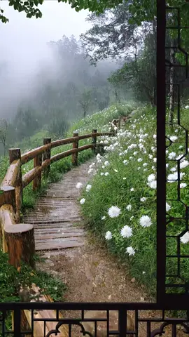 neutral Beauty🌿☘️Have rain 🏡#creatorsearchinsights#BEAUTIFUL #rain #unfreezemyacount #viral_video #foryoupage❤️❤️ #foruyou #nature #tiktokviralmyvideos 