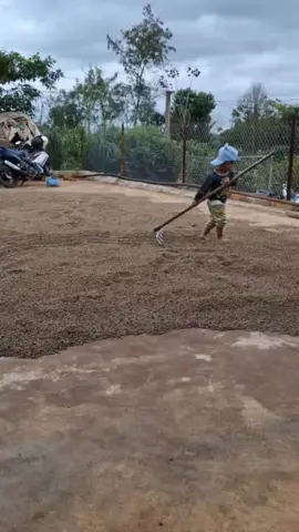 chào 47 2025  hẹn 2026 
