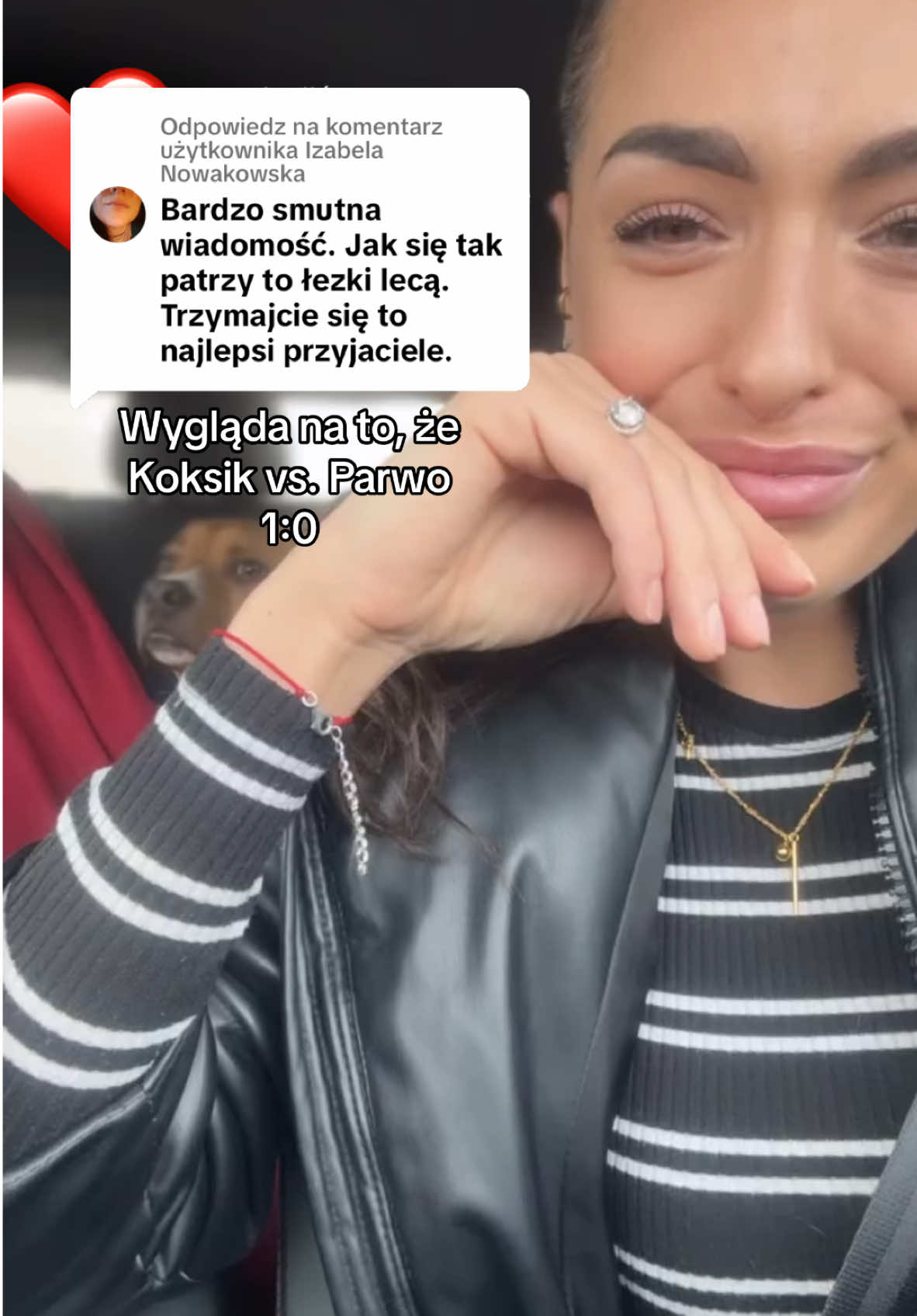 Odpowiadanie użytkownikowi @Izabela Nowakowska Wasze wsparcie jest tak ogromne, że aż Koksik wygrywa walkę z wirusem 🥹 dziękujemy ❤️❤️❤️ #parwowiroza #szczeniak #piesek #przyjaciel #choroba 