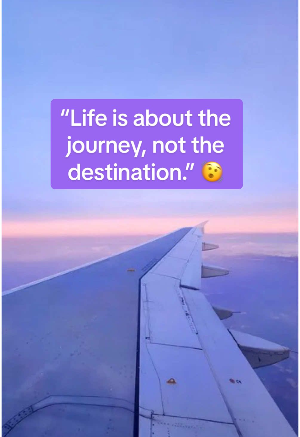 Suspect is stuck in transit. 😵‍💫#flightdelayed #traveltok #travelinsurance