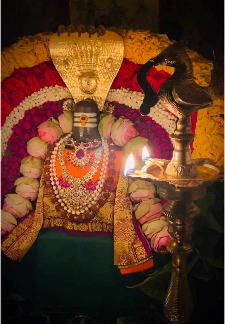 Somavaara Pradhosha naalil Shri Sundhareshwara Swaamiyin Thivya Mangala Dharishanam❤️#fyppppppppppppppppppppppp #fy #fypp #viralvideo #shivkecik #fypage #fypシ゚viral #trendingvideo #viraltiktok #alangaram #portklang #shiva #omnamahshivay #sundara 