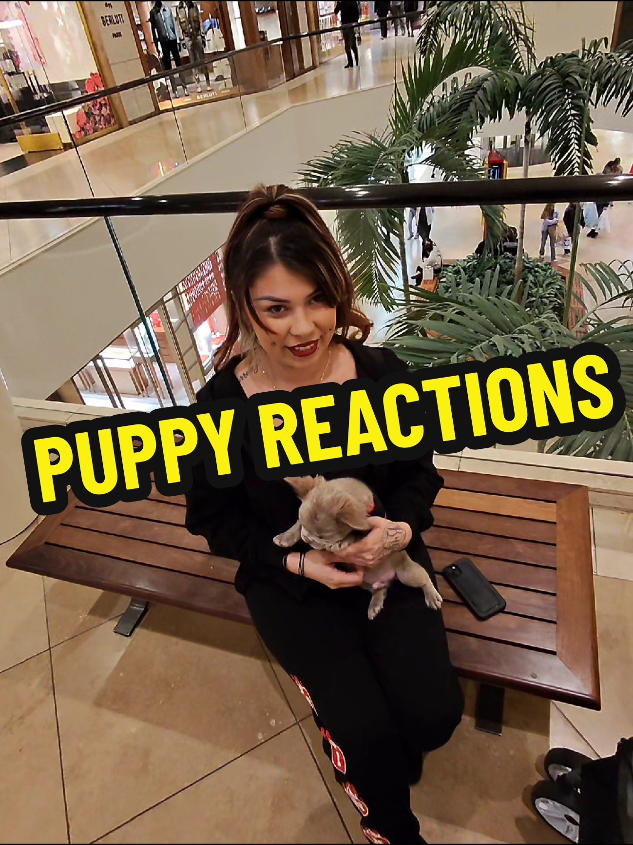 puppy reaction videos #FurryFriends #PetLovers #MallVibes #DogReactions #CutePets #FrenchBulldog #PuppyLove #fluffyfrenchie #FluffyPup #explorepage #frenchbulldogtiktok #frenchbulldog 