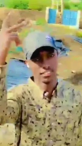 #followisdheh 