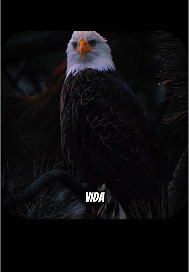 Pare de perder ser tempo com o que não é importante!  . . .#sabedoria #desenvolvimentopessoal 