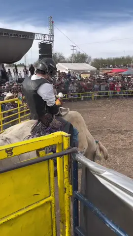 #CapCut #frontin #bullrider 