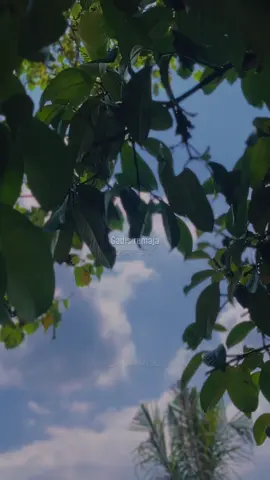 Gadis Remaja (Shoujotachi yo) #teenager #remaja #girls #jkt48 #jkt48newera #fyp #viral #1minute #lyrics 