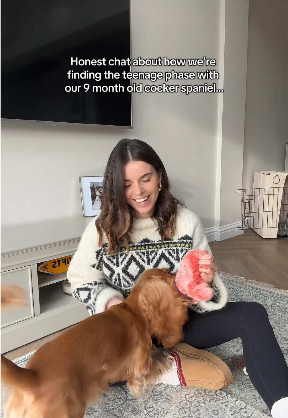 A little honest puppy chat 🫶🏼 If you’re in the teenage phase, I’d love to know how you’re finding it! #puppy #puppylife #puppylove #puppytok #cockerspanielpuppy #showcockerspanielpuppy #cockerspanielpuppies #dogmum #puppymum 