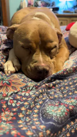 Maui ❤️ 