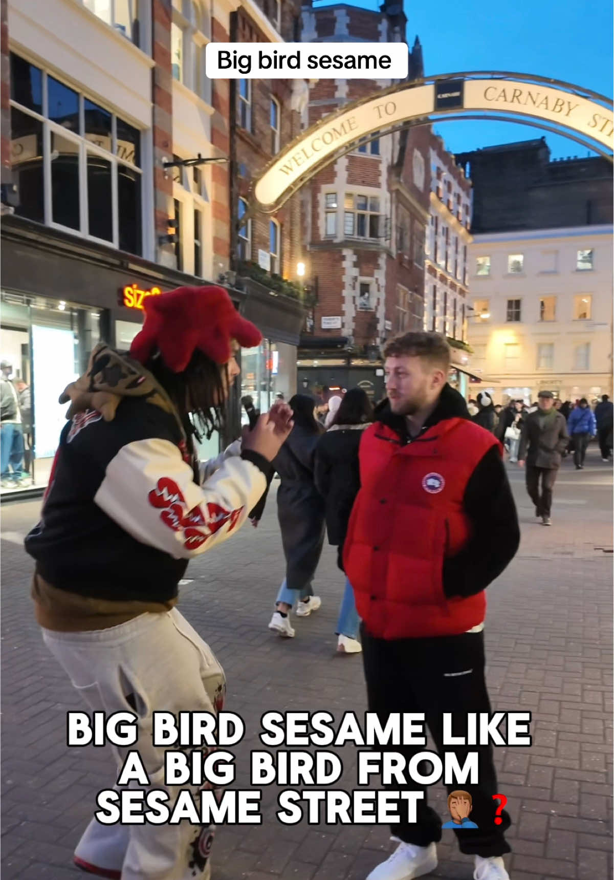 BIG BIRD SESAME 🤣❓ . . Would you finish the @Peteandbas lyrics ❓#fyp #viral #mugshot #bigbird #peteandbas 
