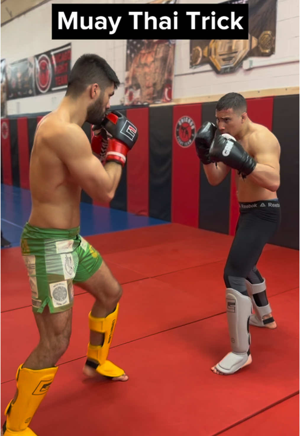 Spinning Back  Fist Set Up ‼️ This is one of the easiest ways to set ip your Spinning Back Fist is Faking the Low Kick. •First throw a Heavy Low Kick to get his Attention .  •Fake it and you have the Spinning Back Fist Clean . . Follow @horaciocft  . . . . . . . . #mma #muaythai #mmafighter #foryou  #foryoupage  #viral #fyp #ufcfighter #UFC #strikking #striker 