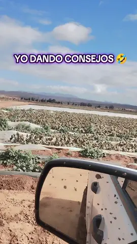 #consejos #working #agronomia🌱 #sanlunes 