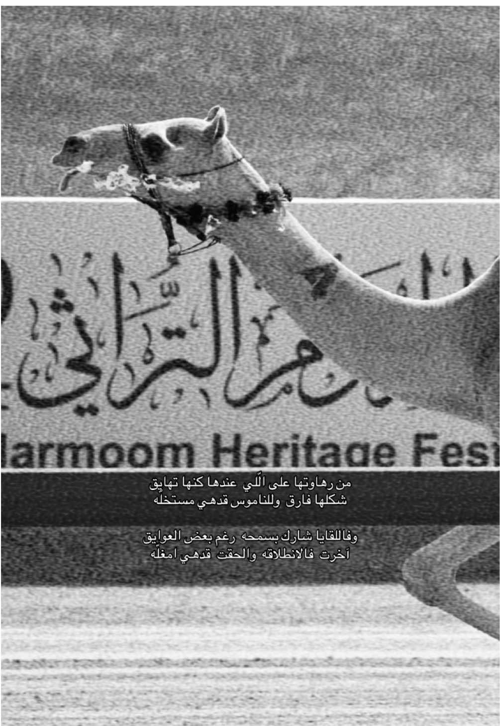 #fyp #مسفر_السندوانه #هجن 