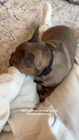 I’m obsessed with her #frenchbulldog #fyp #dogmom #frenchie 