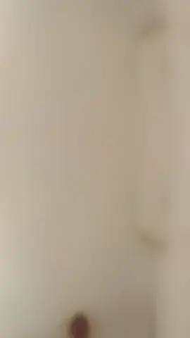 #CapCut 