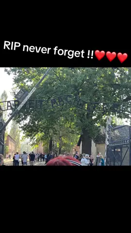 #fyp #auschwitz #poland #experience #neverforget #fypsounds #UK #war #rip #mystory ##fyppp #history 