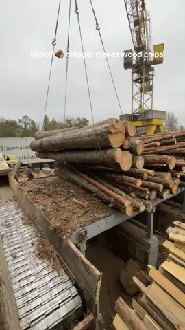 👉@woodproffis Welcome ❤️ 👉@woodproffis Enjoy 👍 Wood working projects by sawmill worker on wood cutting lumber USA 🇺🇸🌲🤝🪵 #creatorsearchinsights  . Sawmill worker makes wood chips on wood chipper in his sawmill life #usa #fypage #ypage #wood #woodwork