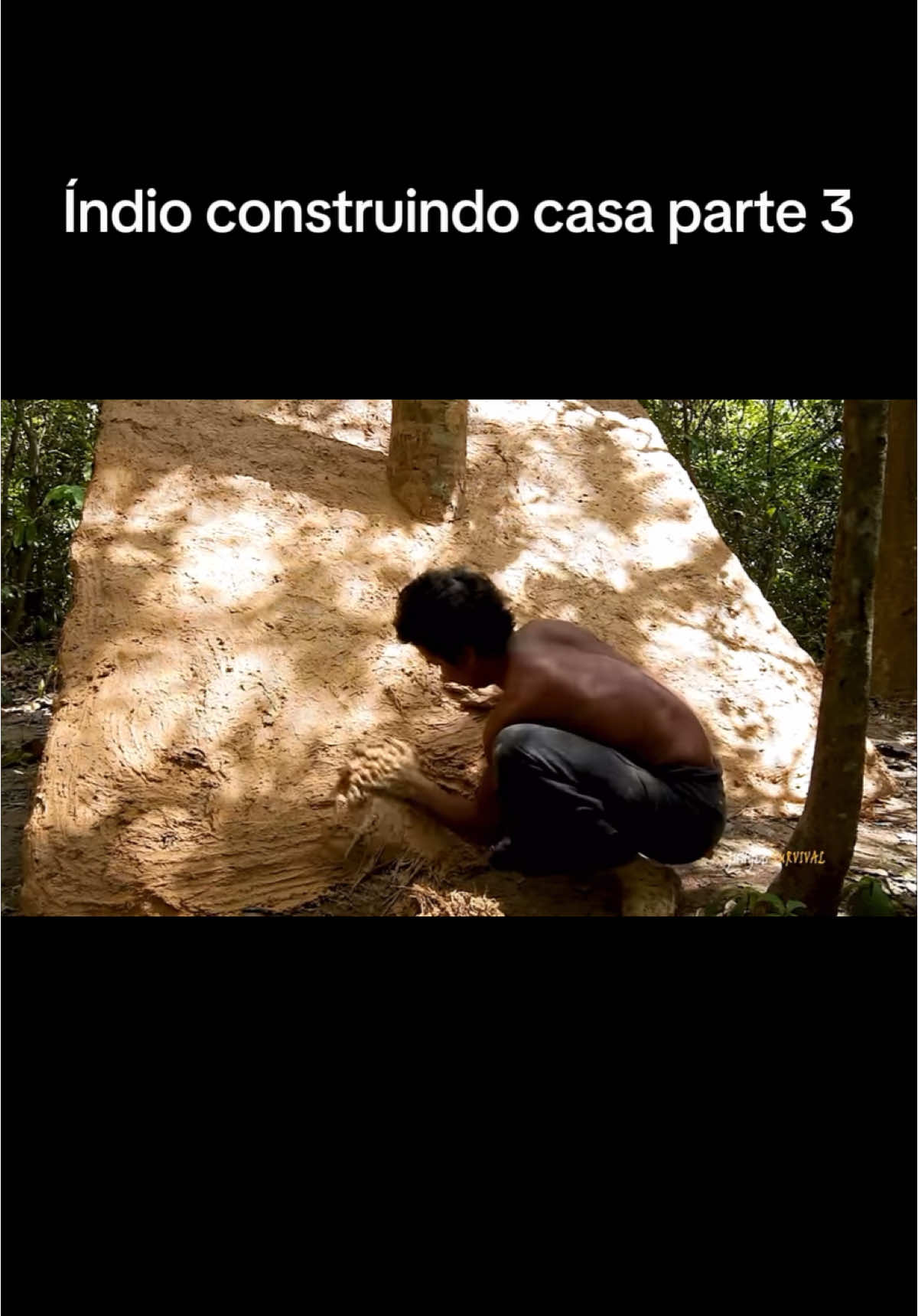 #indonesia #indio #indioconstruindo #floresta #barro #viralvideos #viraliza 