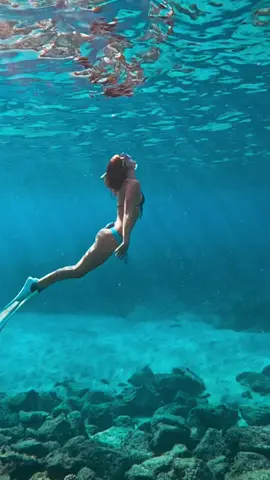 If you swim at daytime might see her