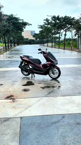 Mau di sapa user pcx all 🙏#pcx #pcx160 #pcx160ล้อ17แต่งสวย #pcx2025 #pcx150ล้อ17แต่งสวย #pcx150ล้อ17แต่งสวย #pcxmodifikasi #pcxindonesia 
