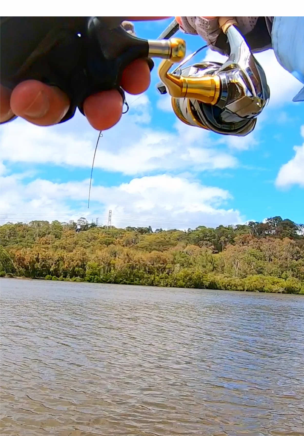 Have you seen that? #fishing #shroomfishing #shroon #shroomy 