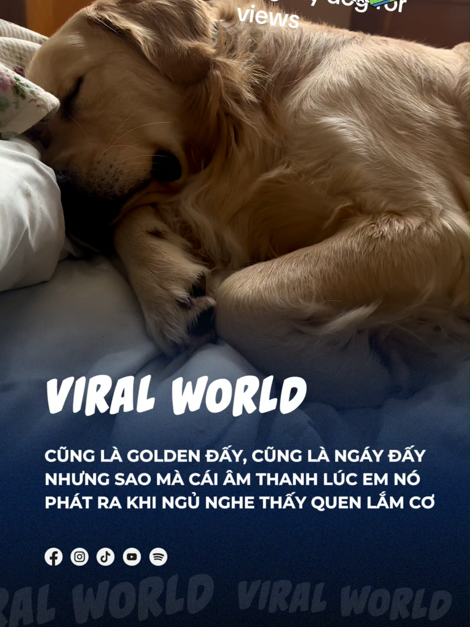 Nghe cái tiếng cứ thấy quen quen thế nhờ =))) #beatviralworld #beatnetwork #bnetwork #beatvn #beatoflife