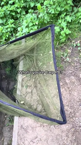 Drop it in the comments.. #fyp #foryou #foryoupage #fishing #fishinglife #fishtok #angler #carpfishing #nayzofishing #viral 