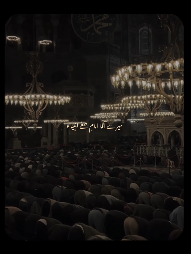 Wo sultan e Meraj hain 🤍 - Tu kuja man kuja | Slowed Reverb | Without Music | Vocals | Status | Lyrics  - #unfreezemyacount #views #growmyaccount #tukujamankuja #muslim #ummat #muslimtiktok #islam #islamic_video #hazrat_muhammad_s_a_w_w  #fyp #foryou #foryoupage #viral #trending #withoutmusic #vocalsonly #aesthetic #fypシ #fypシ゚viral #status 