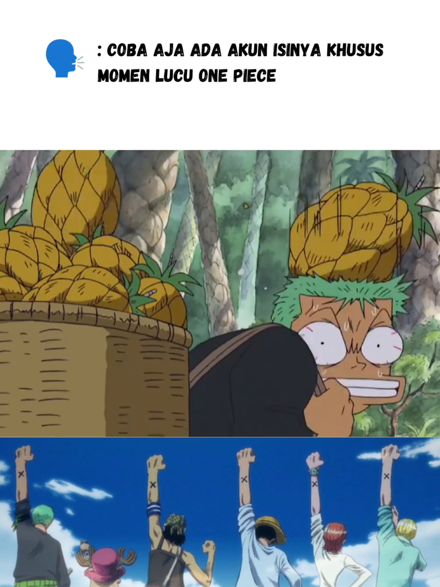 Cara mudah Zoro panen nanas... #onepiece #onepiecelucu #onepiecengakak #onepiecetiktok #anime