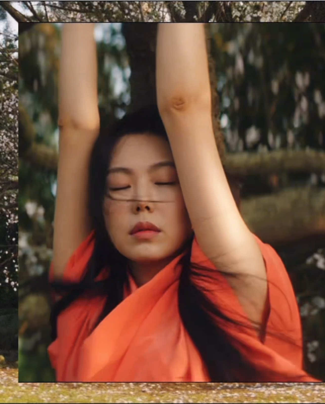 watch at full screen ^^ #thehandmaidenmovie #cinematography #fyp #kmovie #GL #thehandmaiden2016 #thehandmaidenedit #historicalfilm #filmrecommendation #thehandmaiden #edit #foryou #wlwfilm 