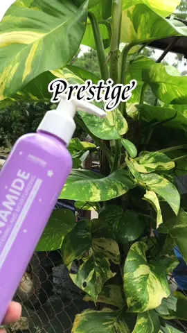 No Lagkit , no WhiteCast Lotion Prestige Niacinamide Lotion😱😍 #niacinamidelotion #prestigeniacinamidelotion #prestigelotion #whiteninglotion #Fyp #fypage #fypviralシ #creatorsearchinsights #searchengineoptimization #tiktokaffiliate #tiktokaffiliatemarketing 