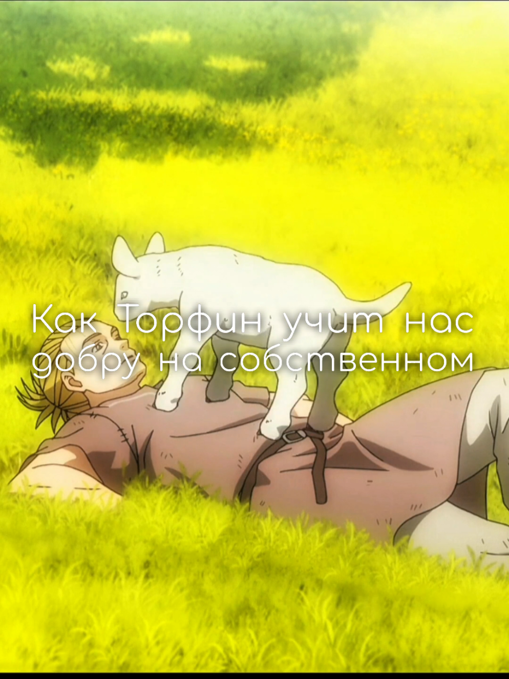 I have no enemies  #торфинн #винланд #сагаовинланде #философия #vinlandsaga 