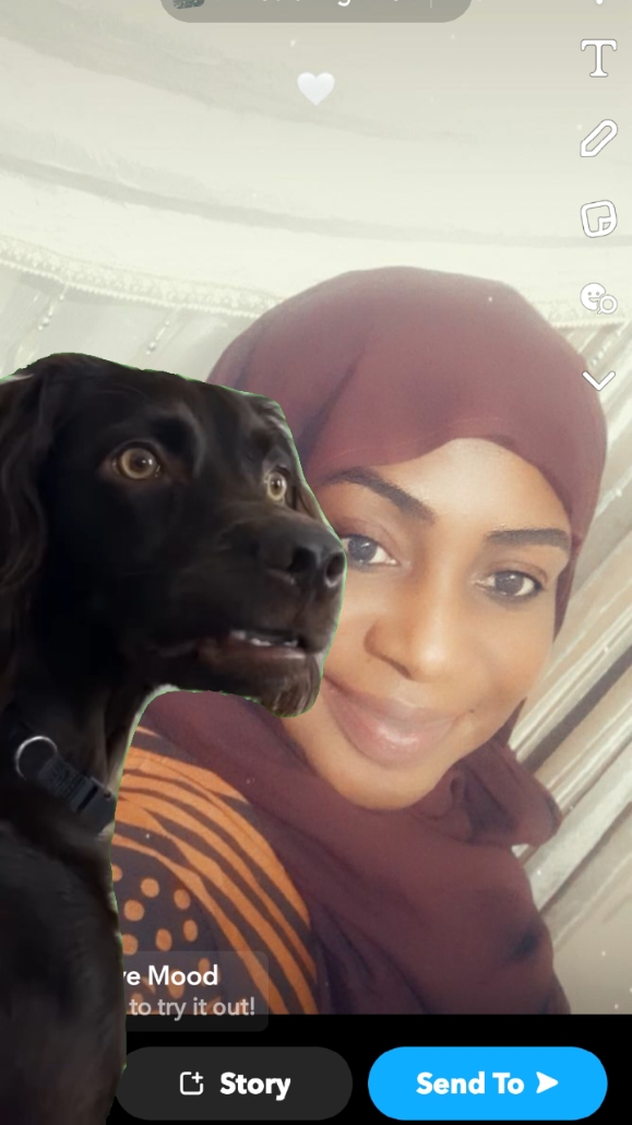 Confused # beautiful Dog # good morning me # I love u😀😍❤❤❤👌